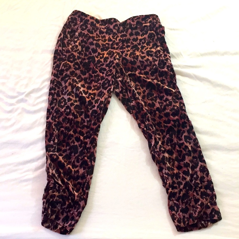 🔥BUY 3 for 50% OFF🔥 Velvet stretch waist pant